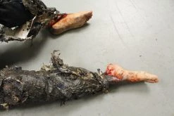 Dapper Cadaver Workshop Dura-Flex Burnt Alan Dummy Burn & Bomb