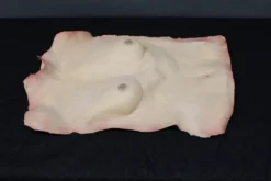 Dapper Cadaver Workshop Dura Female Human Torso Skin Dura Rubber