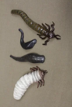 Dapper Cadaver Workshop Leech And Parasite Set Of 4 New Haunt Props