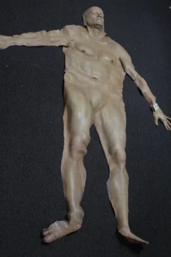 Dapper Cadaver Workshop Dura Jack Skin Miscellaneous Body Parts