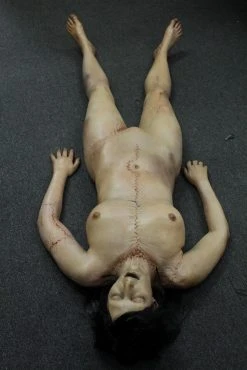 Dapper Cadaver Workshop Dura Meredith Cadaver Body