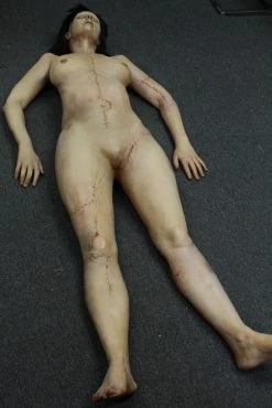 Dapper Cadaver Workshop Dura Meredith Cadaver Body