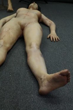 Dapper Cadaver Workshop Dura Meredith Cadaver Body