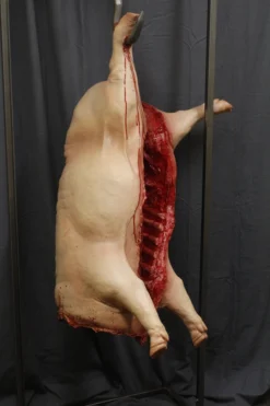 Dapper Cadaver Workshop Headless Hanging Gutted Pig