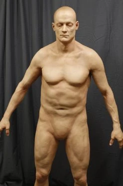 Dapper Cadaver Workshop Lifecast Prop Bodies Standing Jack Deluxe Male Body