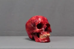 Dapper Cadaver Workshop Meat Skull Hera Skeletons, Skulls & Bones