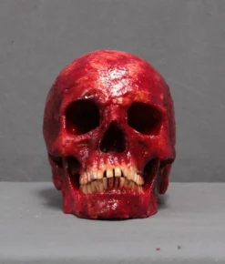 Dapper Cadaver Workshop Meat Skull Hera Skeletons, Skulls & Bones