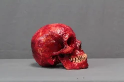 Dapper Cadaver Workshop Meat Skull Hera Skeletons, Skulls & Bones