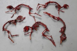 Dapper Cadaver Workshop Butcher Shop Meaty Rabbit Skeleton