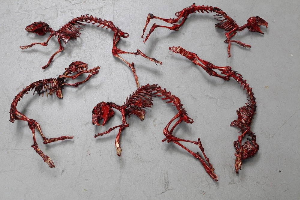 Dapper Cadaver Workshop Butcher Shop Meaty Rabbit Skeleton 2 Dapper Cadaver Workshop Butcher Shop Meaty Rabbit Skeleton