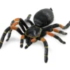 Safari LTD Reptiles, Sealife & More Orange-Kneed Tarantula