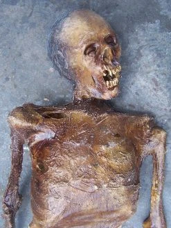 Dapper Cadaver Workshop Remy Mummy