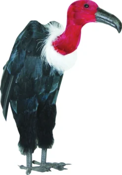 Morris Costumes Halloween Decor Halloween Vulture Prop