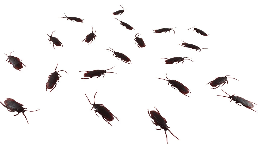 Morris Costumes Reptiles, Sealife & More Fake Roach Set 1 Morris Costumes Reptiles, Sealife & More Fake Roach Set