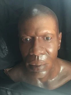 Dapper Cadaver Workshop Fake Heads Richard Head