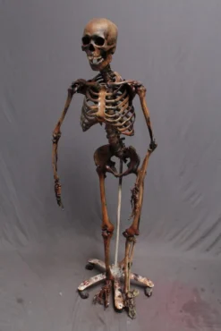 Dapper Cadaver Workshop Crime Scene Skeleton