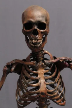 Dapper Cadaver Workshop Crime Scene Skeleton