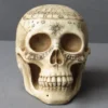 Pacific Trading Halloween Decor Astrology Skull