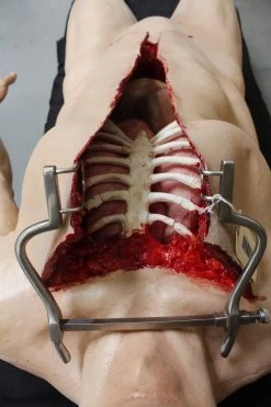 Dapper Cadaver Workshop Dura Autopsy Jack Cadaver Body