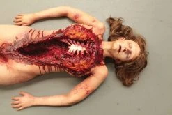 Dapper Cadaver Workshop Autopsy Meredith Body