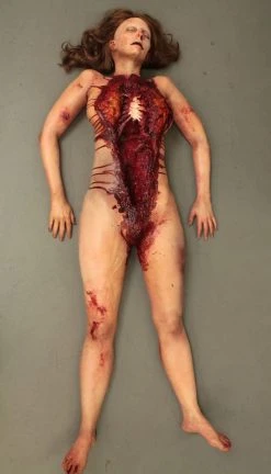 Dapper Cadaver Workshop Autopsy Meredith Body