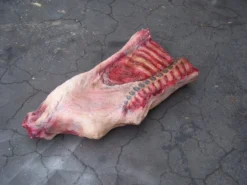 Dapper Cadaver Workshop Side Of Beef Hindquarter Butcher Shop