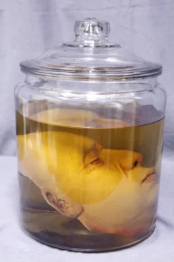 Dapper Cadaver Workshop New Haunt Props Ben Head In A Jar