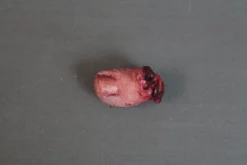 Dapper Cadaver Workshop Bloody Toe