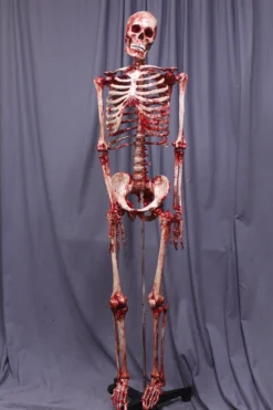 Dapper Cadaver Workshop Bloody Skeleton