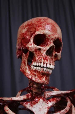 Dapper Cadaver Workshop Bloody Skeleton 7 Dapper Cadaver Workshop Bloody Skeleton