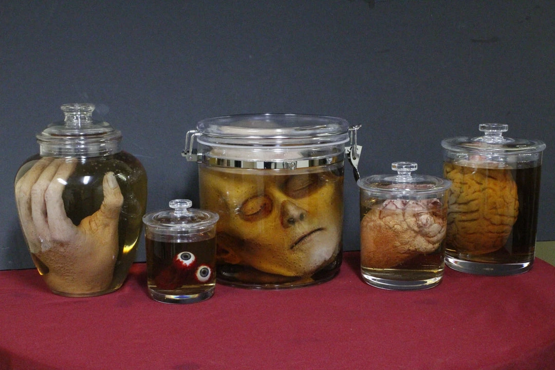 Dapper Cadaver Workshop New Haunt Props Body Parts Shatterproof Specimen Jar Combo 2 Dapper Cadaver Workshop New Haunt Props Body Parts Shatterproof Specimen Jar Combo
