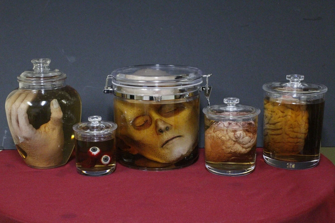 Dapper Cadaver Workshop New Haunt Props Body Parts Shatterproof Specimen Jar Combo 1 Dapper Cadaver Workshop New Haunt Props Body Parts Shatterproof Specimen Jar Combo