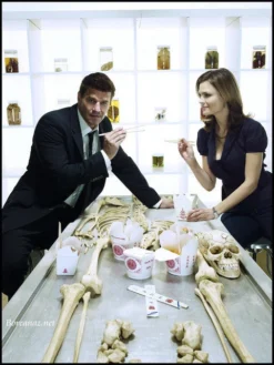 Dapper Cadaver Workshop Skeletons, Skulls & Bones Disarticulated Skeleton With Cast Skull