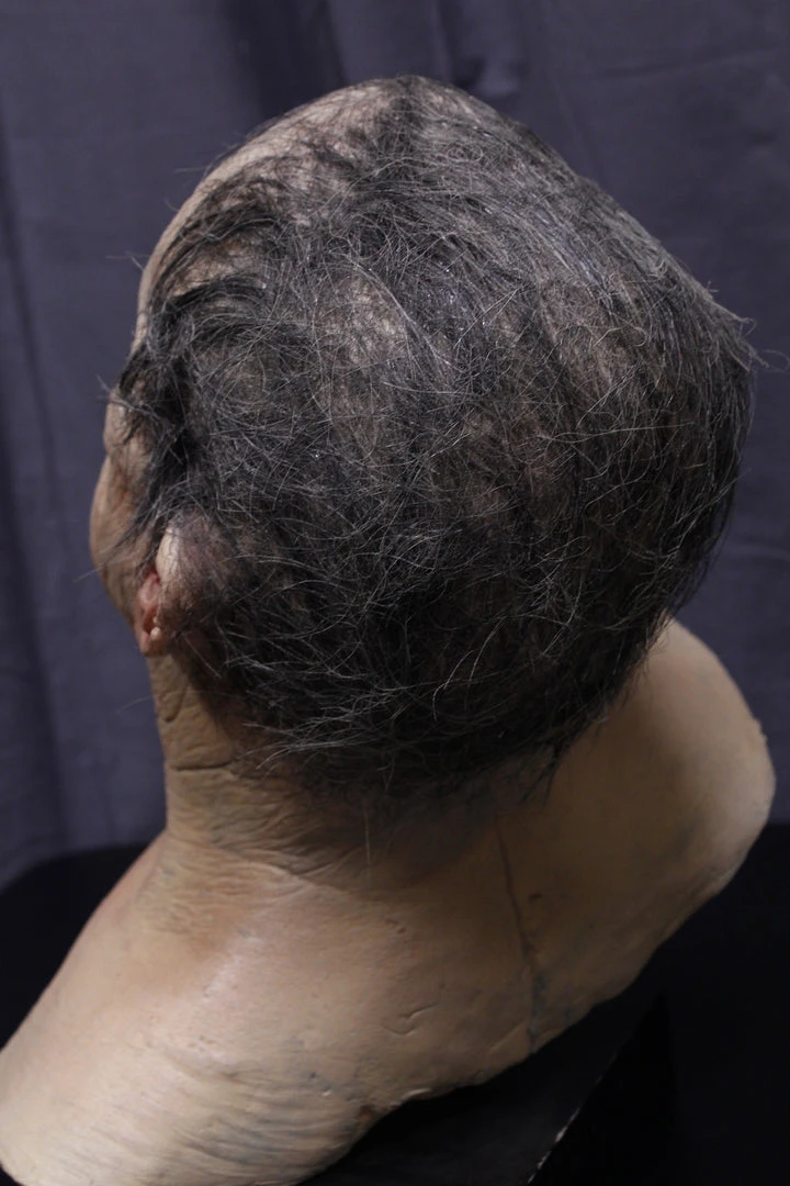 Dapper Cadaver Workshop Fake Heads Boris Cadaver Bust 5 Dapper Cadaver Workshop Fake Heads Boris Cadaver Bust