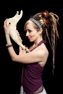 Chichester Animal Skulls & Skeletons Buffalo Jaw Bone