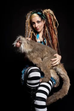 Rachael Lee Goodman Capuchin Monkey Prop - Special Order