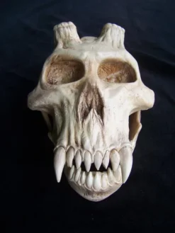 Dapper Cadaver Workshop Chupacabra Skull