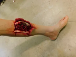 Dapper Cadaver Workshop Dura Sonia Leg With Compound Fracture