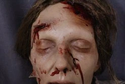 Dapper Cadaver Workshop Dura Crash Meredith Half Anatomical Dummy