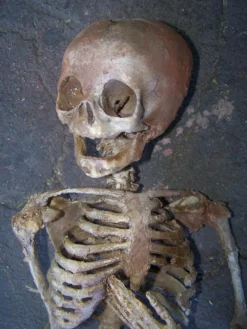 Dapper Cadaver Workshop Toddler Crime Scene Skeleton