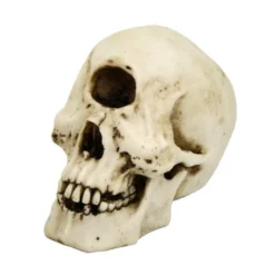 Pacific Trading Cyclops Skull Decor Halloween Decor