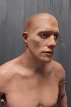 Dapper Cadaver Workshop Lifecast Prop Bodies David Full Body