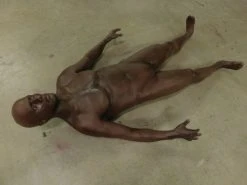 Dapper Cadaver Workshop Lifecast Prop Bodies David Full Body
