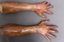 Dapper Cadaver Workshop Dead Jerry Arms Decayed & Mummy