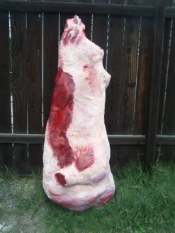 Dapper Cadaver Workshop Deluxe 360 Side Of Beef Village Props