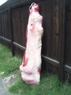Dapper Cadaver Workshop Deluxe 360 Side Of Beef Village Props