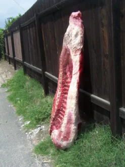 Dapper Cadaver Workshop Deluxe 360 Side Of Beef Village Props