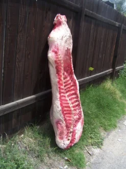 Dapper Cadaver Workshop Deluxe 360 Side Of Beef Village Props