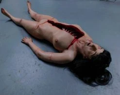 Dapper Cadaver Workshop Dura Meredith Complete Autopsy Body