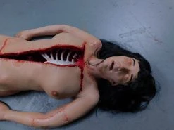 Dapper Cadaver Workshop Dura Meredith Complete Autopsy Body